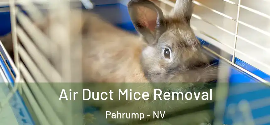  Air Duct Mice Removal Pahrump - NV