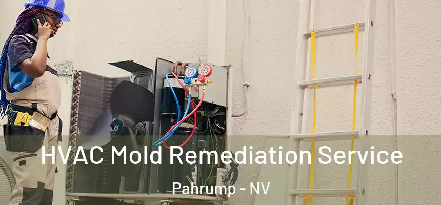  HVAC Mold Remediation Service Pahrump - NV