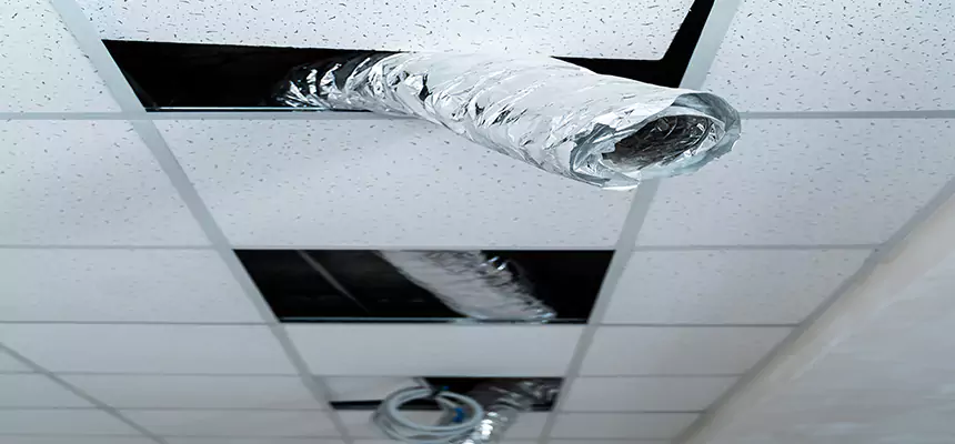 Affordable HVAC Sanitizing After Pest Removal in Pahrump