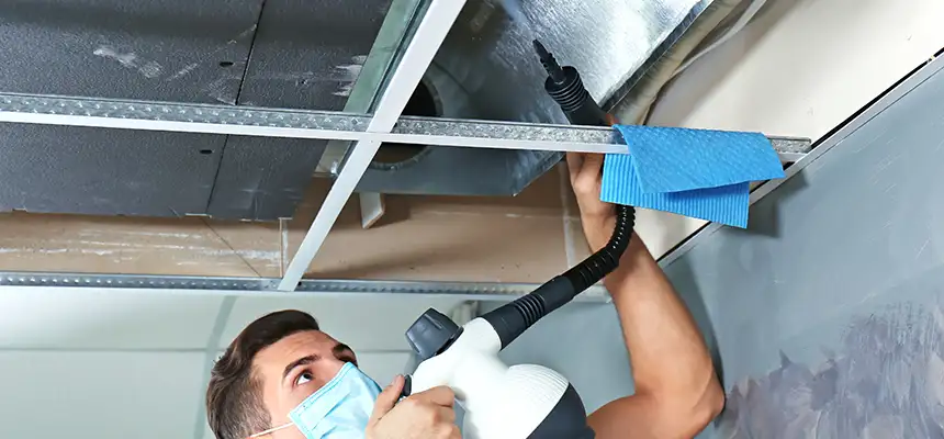 Our Air Duct Rodent Removal Services in Pahrump, NV
