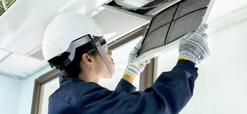 Our Mold & Mildew Removal from Air Ducts Services in Pahrump, NV