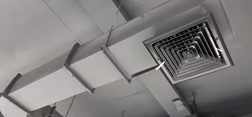 Our Pest Removal From Ducts Services in Pahrump, NV