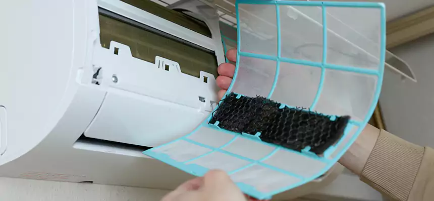 Gentle Ductwork Odor-Control Pet Dander Duct Cleaning in Pahrump, NV