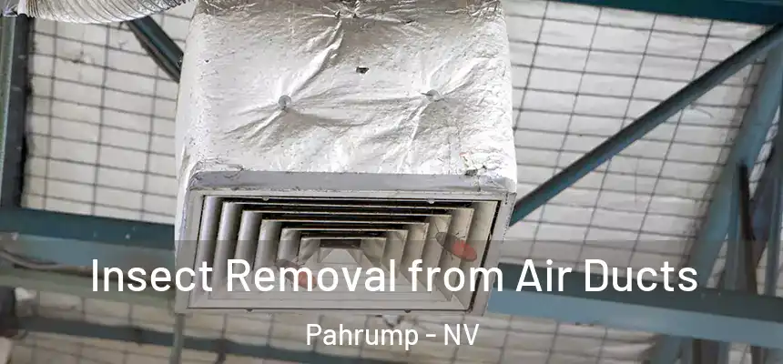 Insect Removal from Air Ducts Pahrump - NV
