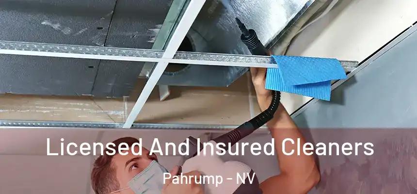 Licensed And Insured Cleaners Pahrump - NV