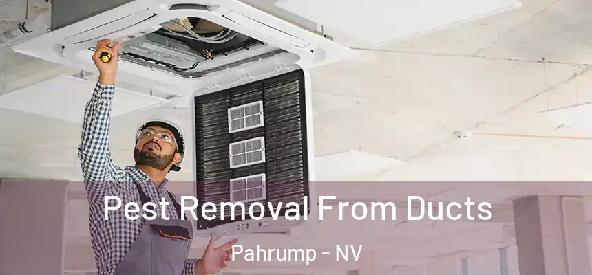 Pest Removal From Ducts Pahrump - NV
