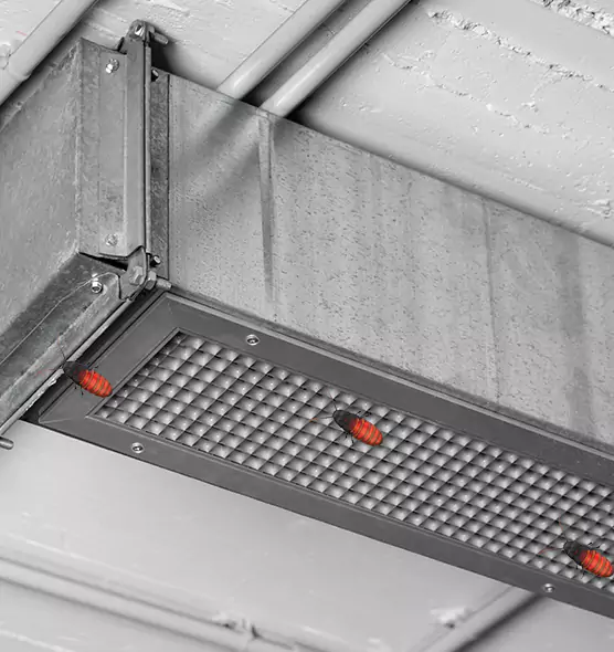 About Air Duct Cockroach Removal in Pahrump, NV