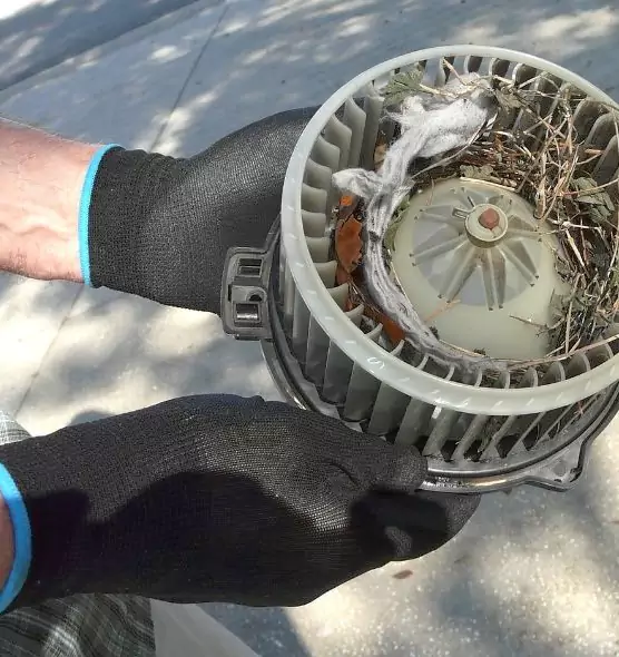 About Air Duct Rat Removal in Pahrump, NV