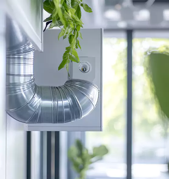 Professional Eco-Friendly Duct Cleaning Services in Pahrump, NV