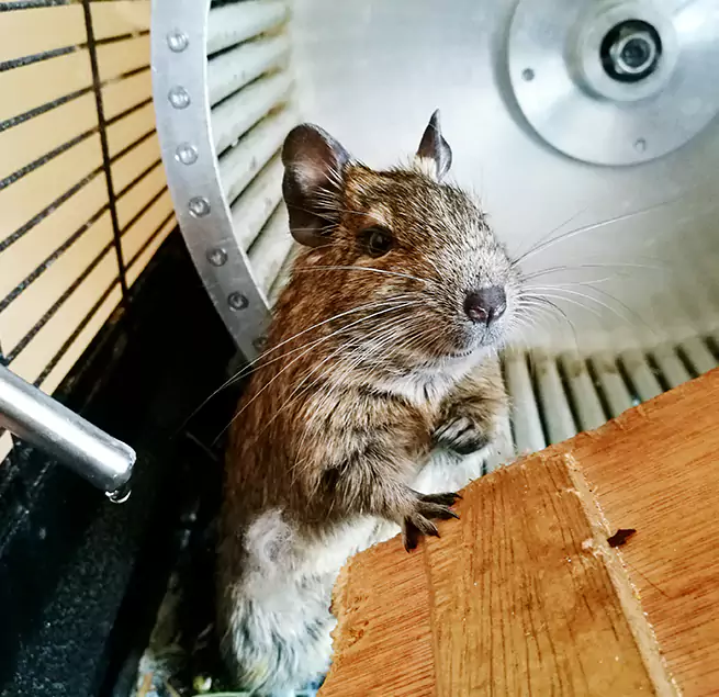 Why Homeowners & Businesses Trust Us Pahrump, NV