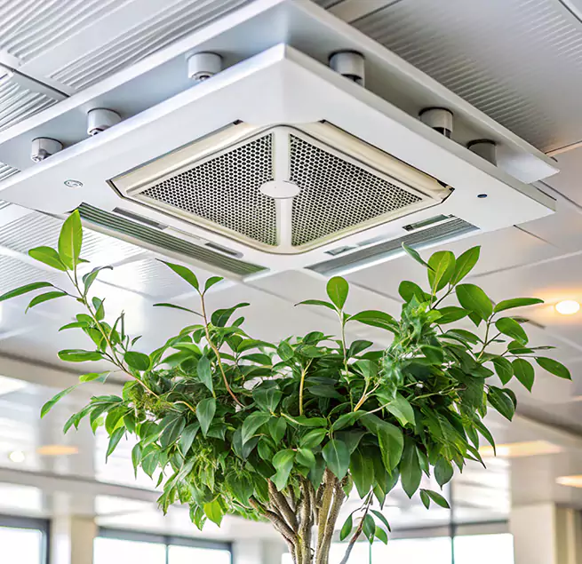 Why Homeowners & Businesses Trust Us in Pahrump, NV?